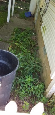 clean-out-flower-beds-new-jersey