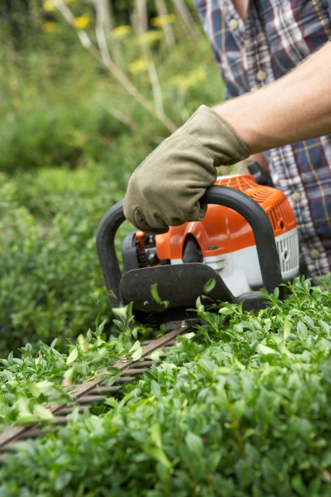 south jersey trimming hedges companies